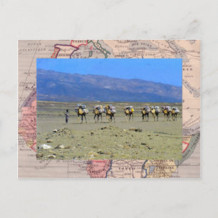 Postal Tren de camello cruzando el desierto del Sahara