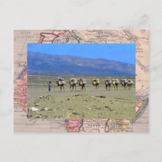 Postal Tren de camello cruzando el desierto del Sahara