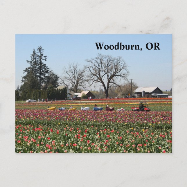 Postal Tren de zapatos (Anverso)