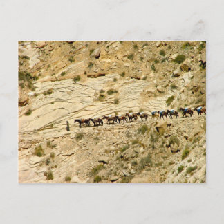 Postal Tren del Canyon de Havasu