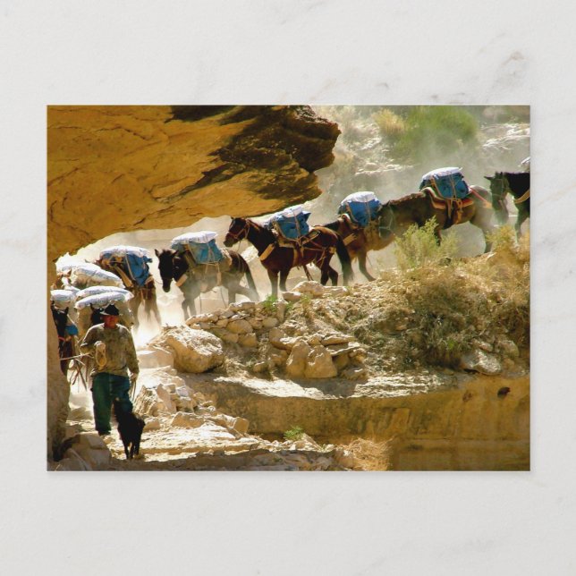 Postal Tren del Canyon de Havasu (Anverso)