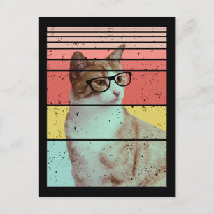 POSTAL TRENDY FUNNY CUTE CAT VINTAGE