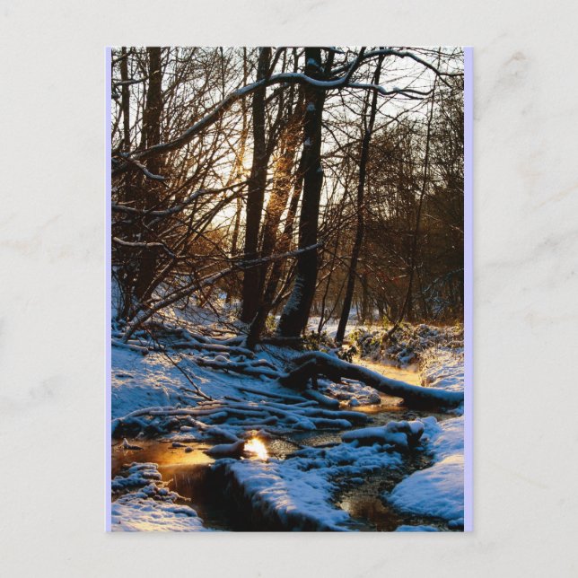 Postal Treppenbach (Anverso)