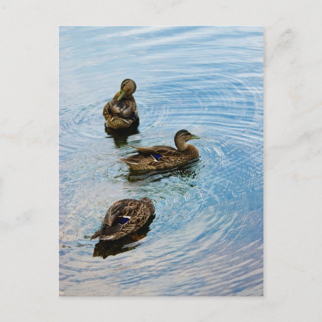 Postal Tres (Anverso)