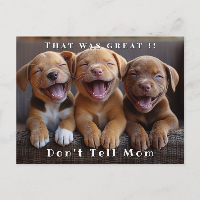 Postal Tres adorables cachorros divertidos y riendo (Anverso)