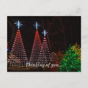 Postal Tres Árboles En El Centro De La Ciudad