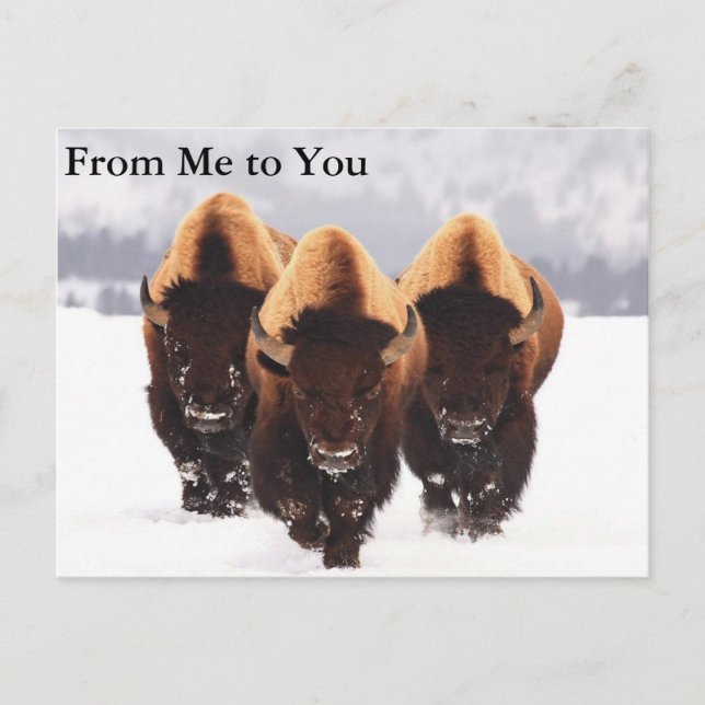Postal Tres Bison (Anverso)