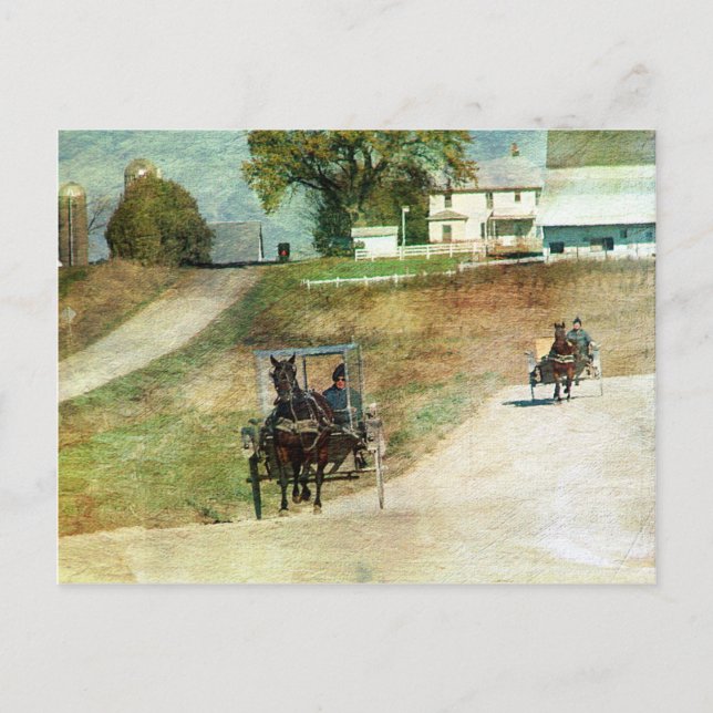 Postal Tres buggies Amish (Anverso)