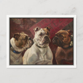 Postal Tres Bulldoges de Charles Boland