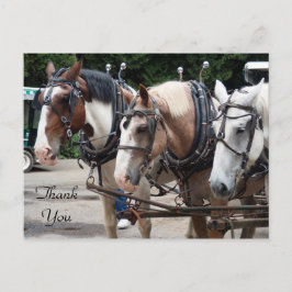 Postal Tres Caballo De Arrastrar Gracias