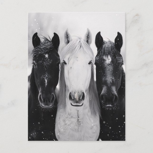 Postal Tres caballos en la nieve (Anverso)