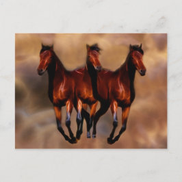 Postal Tres caballos en uno