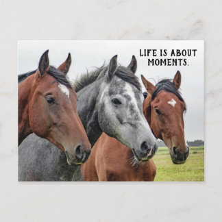 Postal Tres caballos - "La vida es sobre momentos".