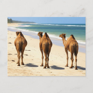 Postal Tres camellos en la playa de Mombasa Kenia
