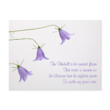 Tres campanillas azules con una foto y un poema