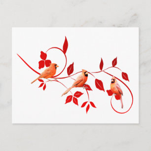 Postal Tres Cardenales
