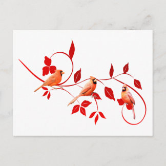 Postal Tres Cardenales