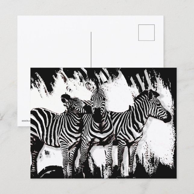 Postal Tres Cebras Pintando (Anverso / Reverso)