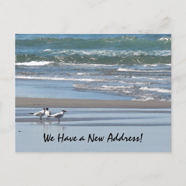 Postal Tres charranes en una playa (Anverso)
