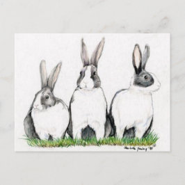 Postal "Tres conejillos" de arte animal Postacard