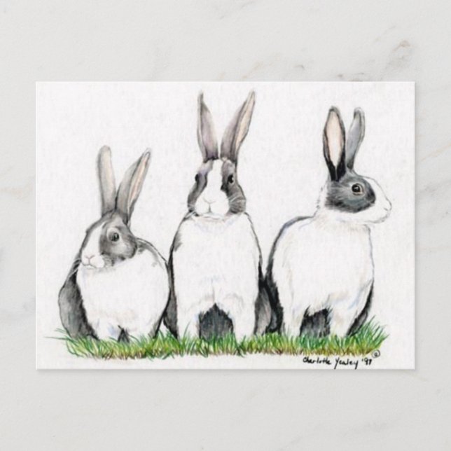 Postal "Tres conejillos" de arte animal Postacard (Anverso)