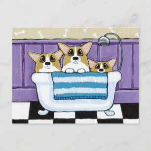 Postal Tres corgis en la bañera