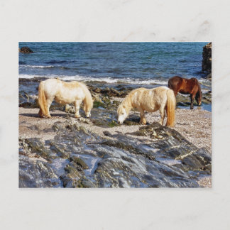 Postal Tres Estanques En La Remota Playa De Devon Sur