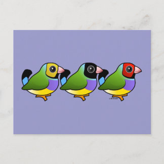 Postal Tres Finches De Gouldian
