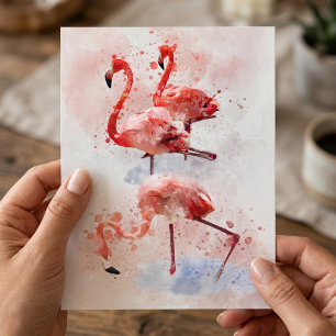 Postal Tres flamencos rosados en impresión artística de a
