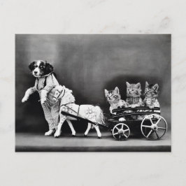 Postal Tres gatitos de pony