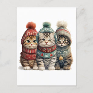 Postal Tres gatitos en sudaderas