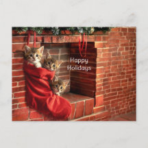 Tres gatitos en una media de Navidad