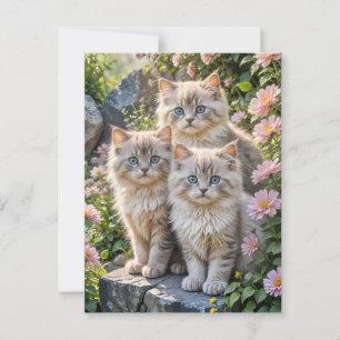 Postal Tres Gatitos Fluffy con flores rosas