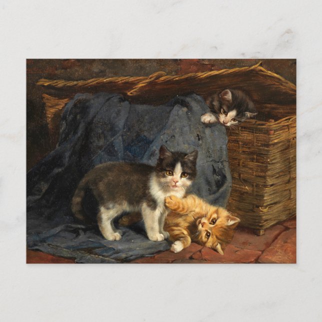 Postal Tres gatitos | Julius Adam el Joven (Anverso)