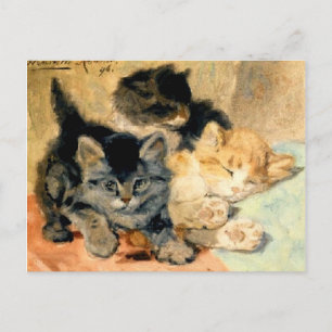 Postal Tres gatitos lindos - Ronner