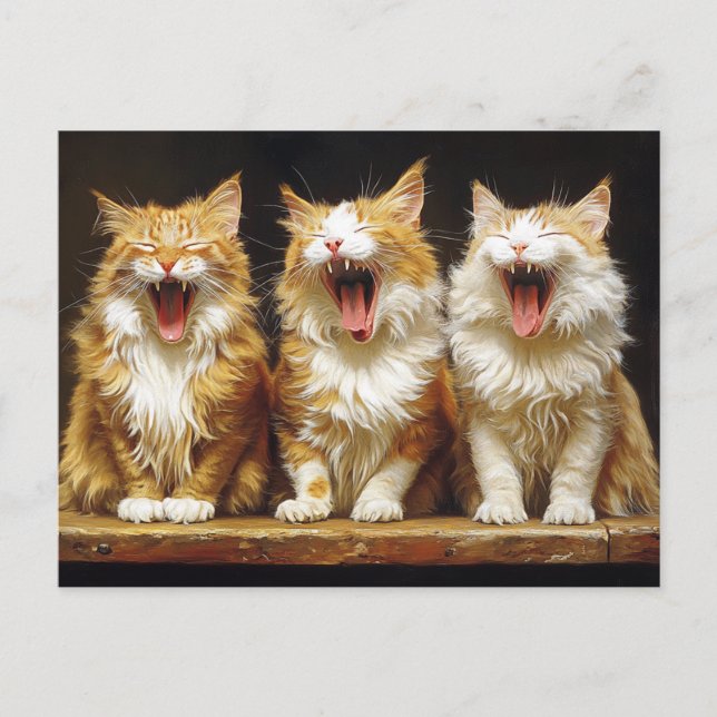 Postal Tres gatos naranjas blancos divertidos cantando (Anverso)