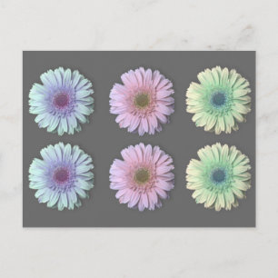 Postal Tres Gerbera Daisy