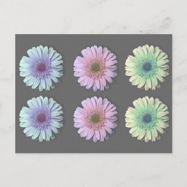 Postal Tres Gerbera Daisy (Anverso)
