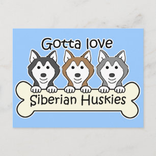 Postal Tres Huskies Siberianos
