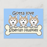 Tres Huskies Siberianos