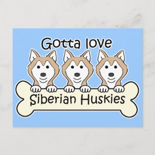 Postal Tres Huskies Siberianos