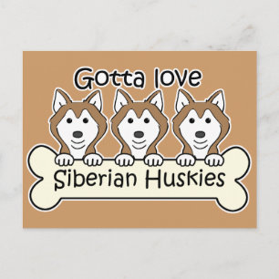 Postal Tres Huskies Siberianos