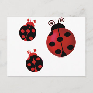 Postal Tres Ladybugs