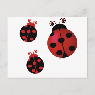 Postal Tres Ladybugs