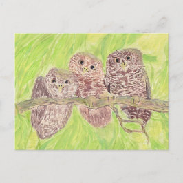 Postal Tres pequeñas lechuzas de cobardía - pintura acríl