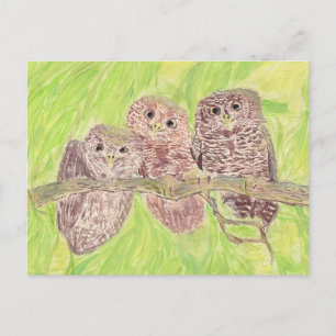 Postal Tres pequeñas lechuzas de cobardía - pintura acríl