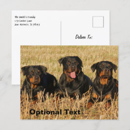Postal Tres perros Rottweiler - Paquete de rociones