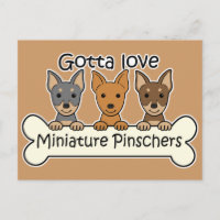 Tres Pinschers en miniatura