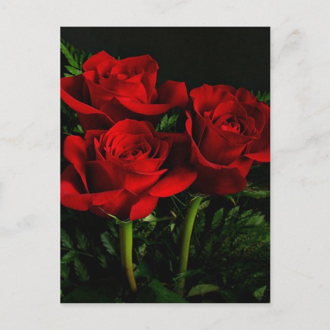 Postal Tres Rosas (Anverso)