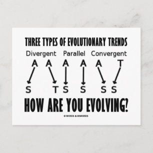 Postal Tres Tipos De Tendencias Evolutivas (Evolución)